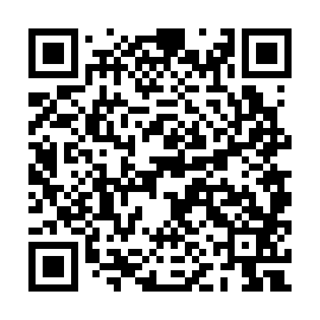 QR code for PNV383