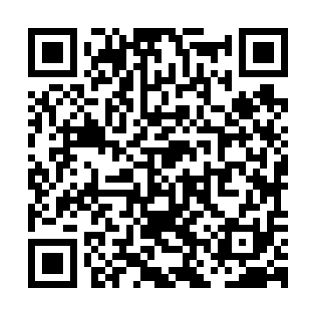QR code for PNZ611