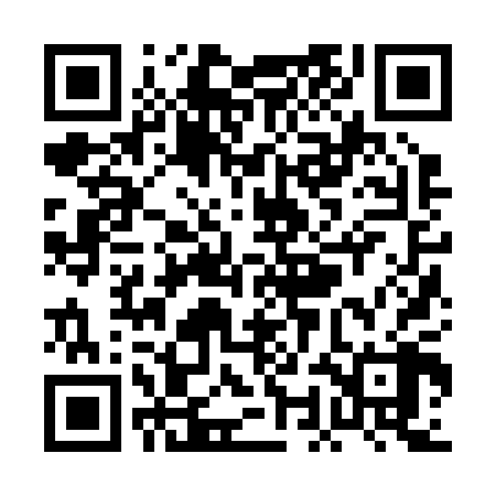 QR code for POJ208