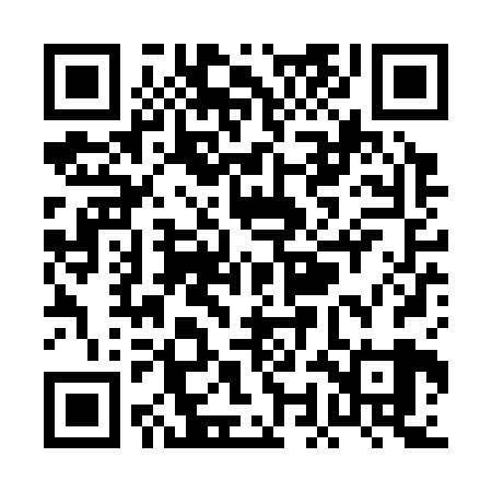 QR code for POJS29