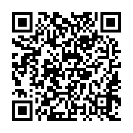 QR code for POO958