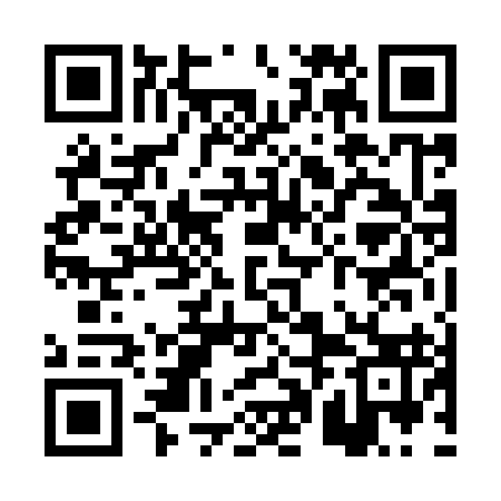 QR code for PPN993