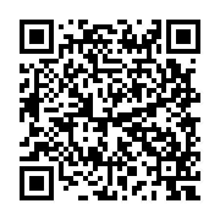 QR code for PPP197