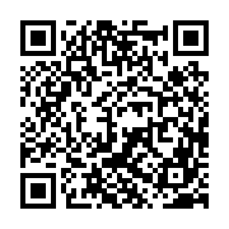 QR code for PPP266