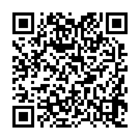 QR code for PPP298
