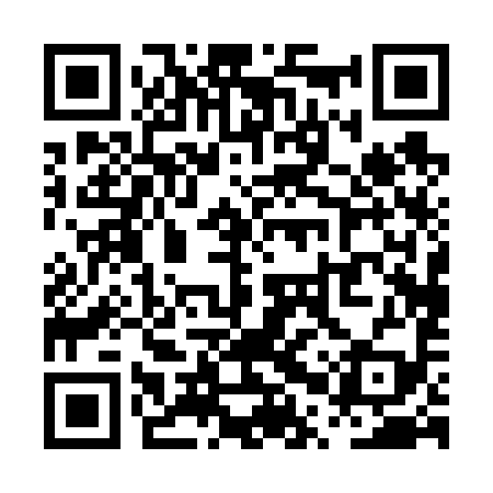QR code for PPP699