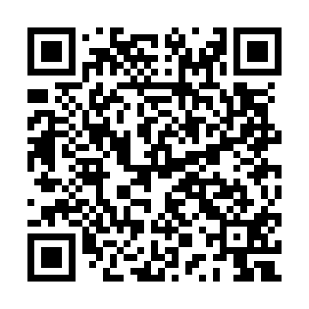 QR code for PPSO11