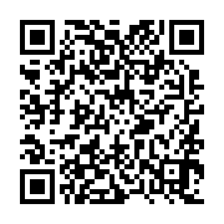 QR code for PPT290