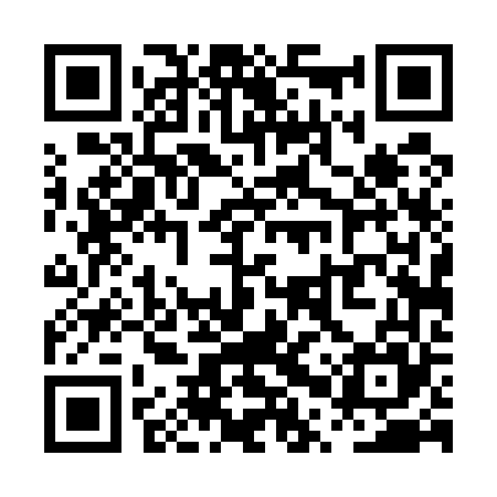QR code for PPT565