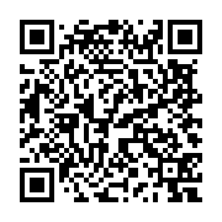 QR code for PPTM31