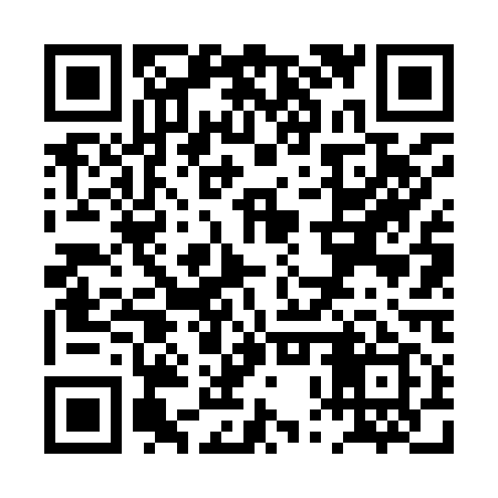 QR code for PPV919