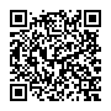 QR code for PPVM33