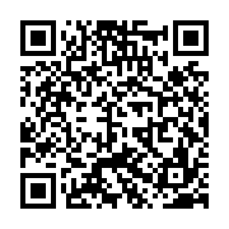 QR code for PPVN36
