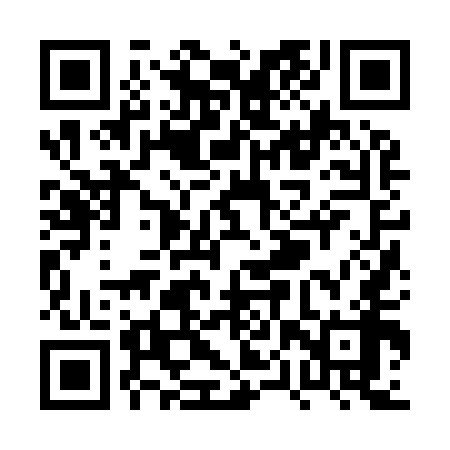 QR code for PPZ958