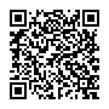 QR code for PTFI33