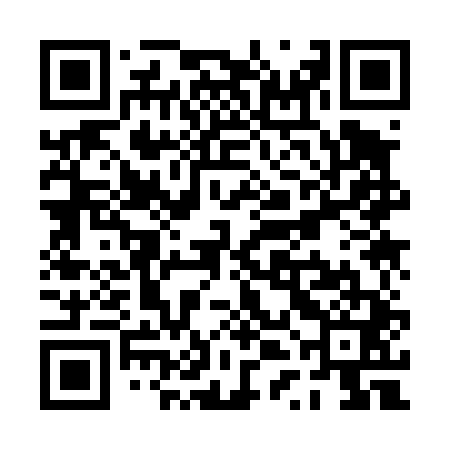 QR code for PTK441