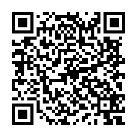 QR code for PTLM29