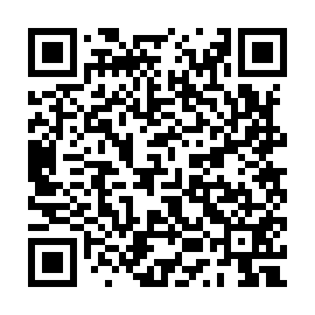 QR code for PUB951