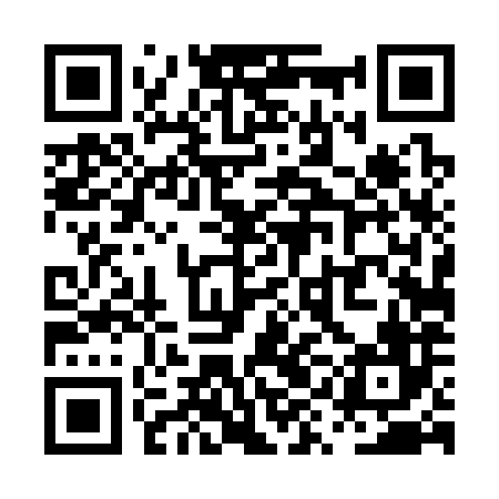 QR code for PYD386