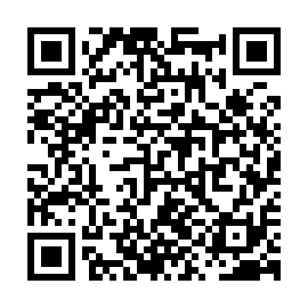 QR code for PYG911