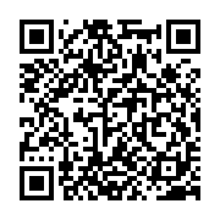 QR code for PYGI91