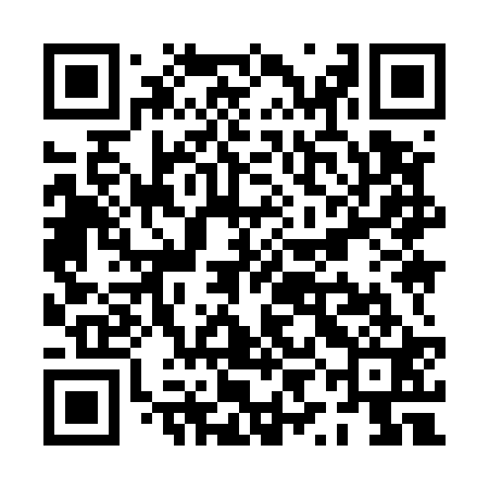 QR code for PYI521