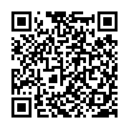 QR code for PYI698