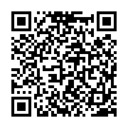 QR code for PYJ533