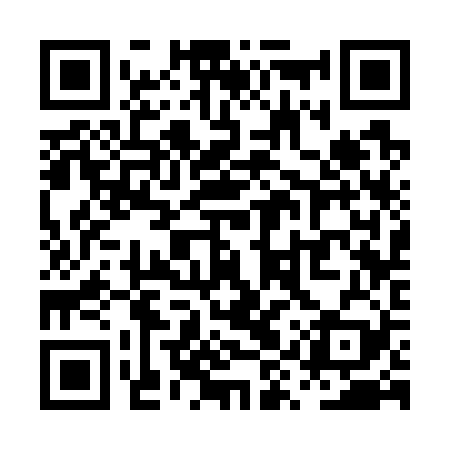 QR code for PYS729
