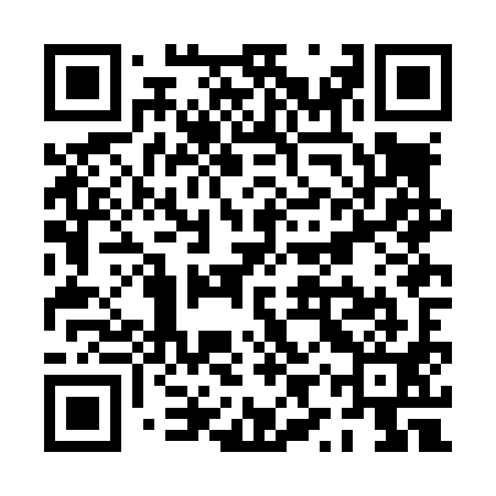 QR code for PYZL91