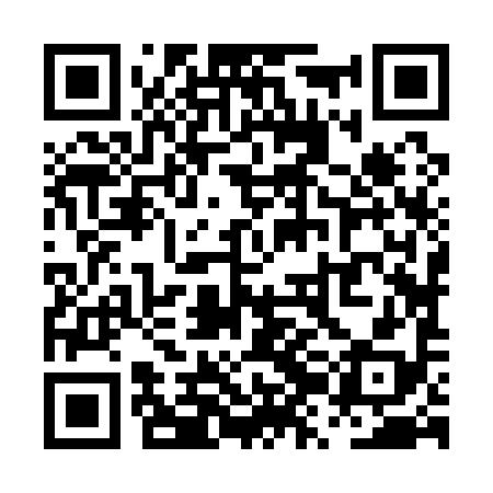 QR code for PZJ198