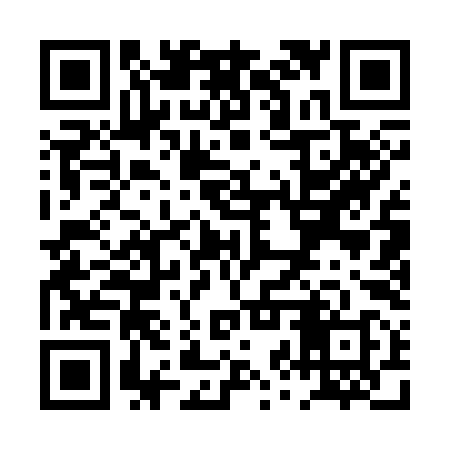 QR code for PZQ398