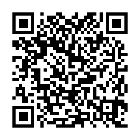QR code for PZR981