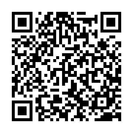QR code for PZT907
