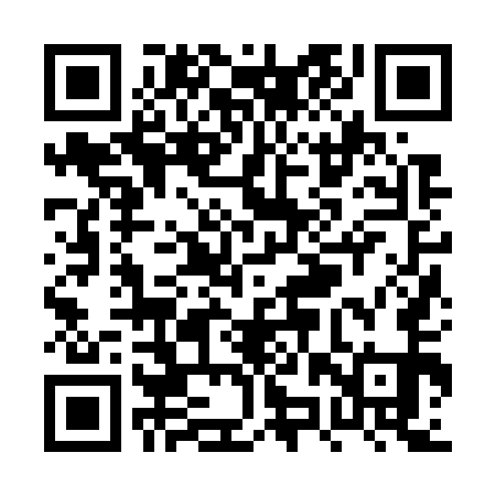 QR code for PZZ751