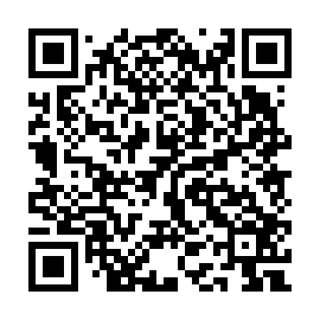 QR code for QAP606