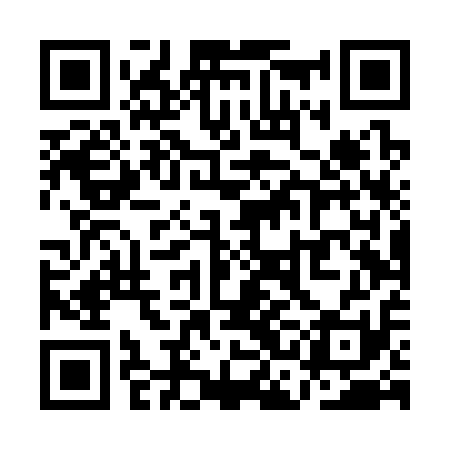 QR code for QCDS11