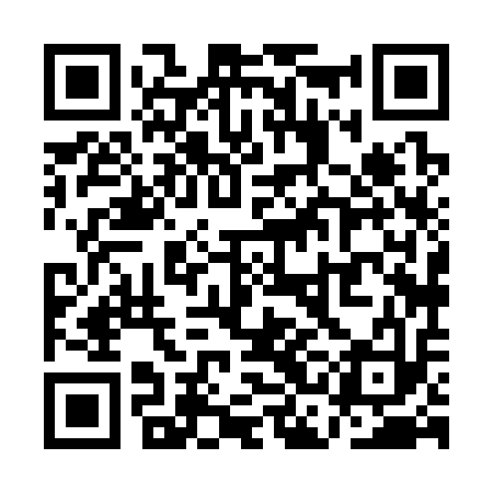 QR code for QCH313