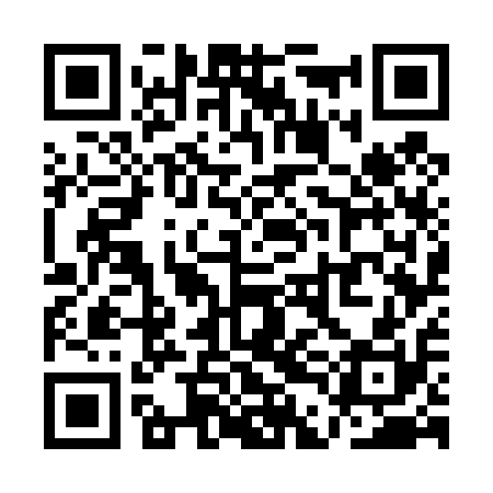 QR code for QDG410