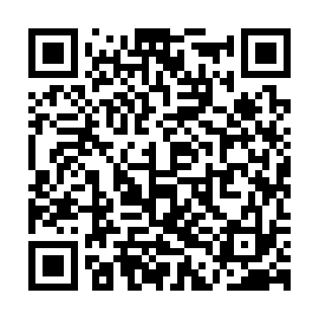 QR code for QDI333