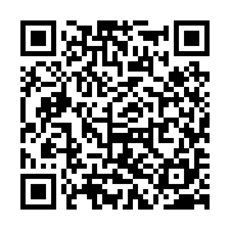 QR code for QDM295