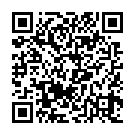 QR code for QDN739