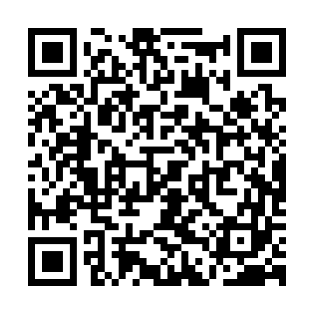 QR code for QDPS63