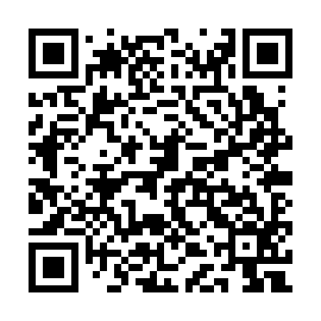QR code for QDPS96