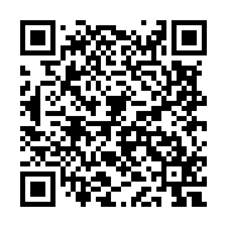 QR code for QDQM17