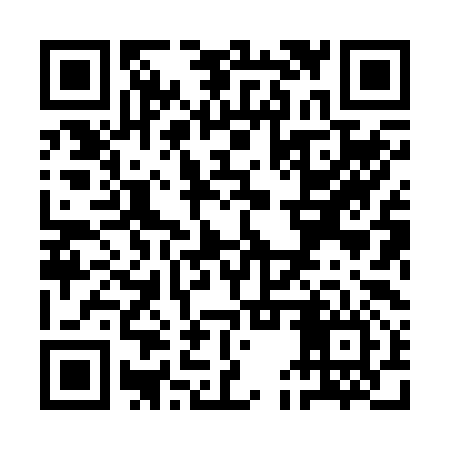 QR code for QEX296