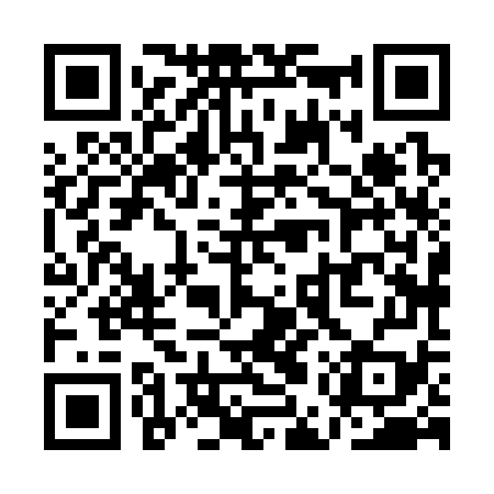 QR code for QEX379