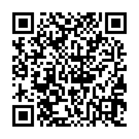 QR code for QFG917