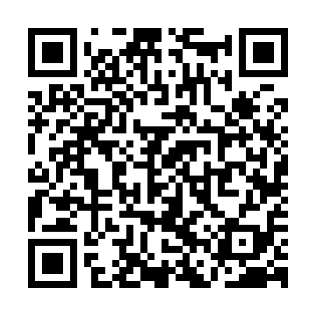 QR code for QFV919