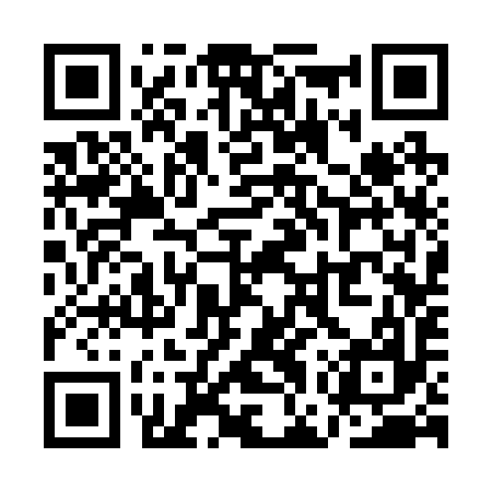 QR code for QGS297